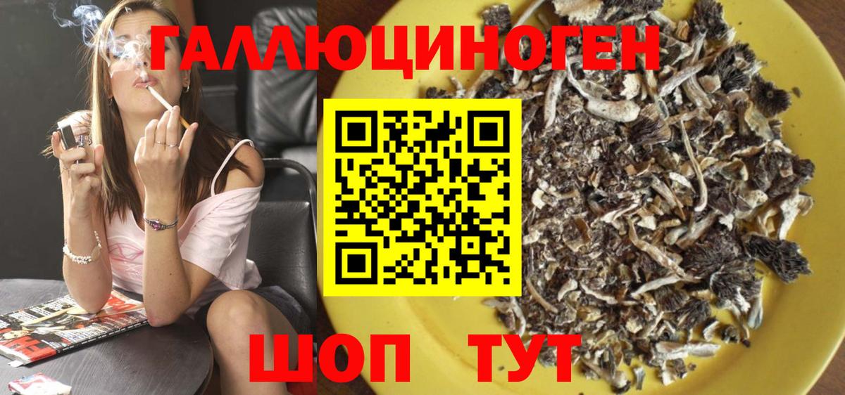 Зерноград  Галлюциногенные грибы GOLDEN TEACHER  Вход с VPN 